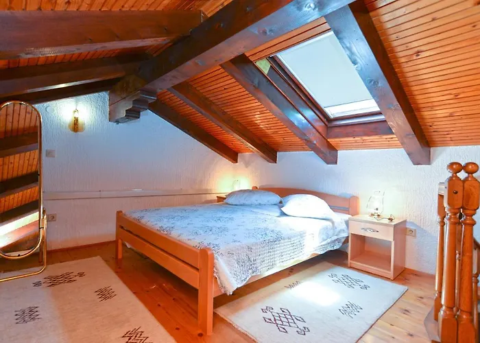 Marko 1377 * Poreč