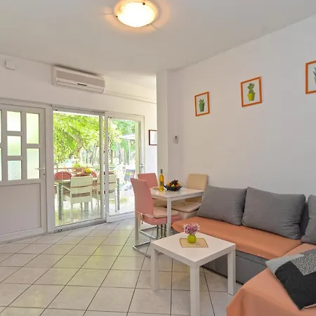 Marko 1377 بوريتش